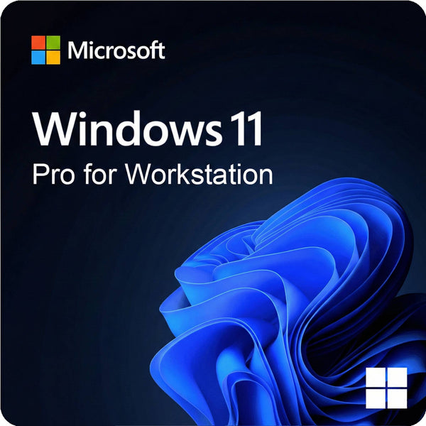 Windows 11 Pro für Workstations