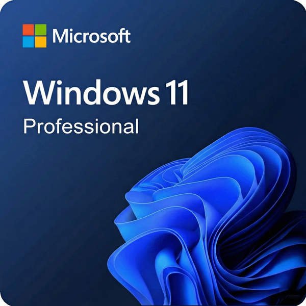 Windows 11 Professional