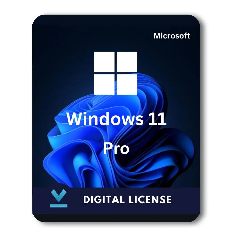 Windows 11 Professional